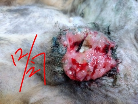 20251228_162135~2_copy_800x600