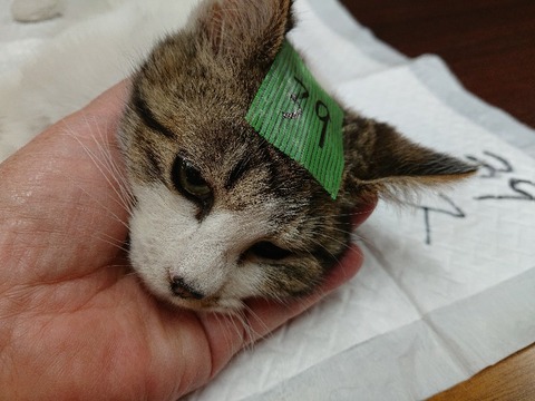 DSC_5845_copy_800x600