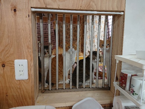 DSC_5851_copy_800x600