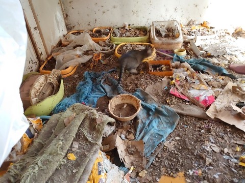 DSC_3319_copy_800x600