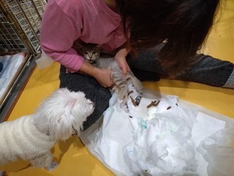 20251210_191259_copy_800x600