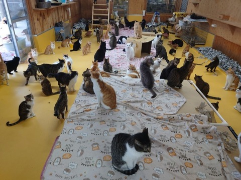 20230606_164358_copy_800x600