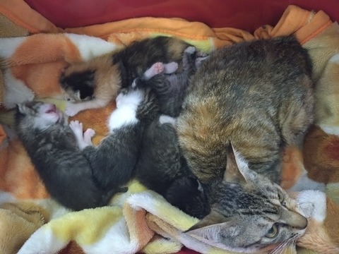 20240521_101755_copy_800x600