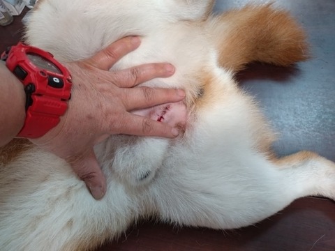 20260222_145241_copy_800x600