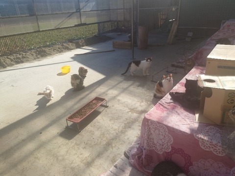 20240302_140148_copy_800x600