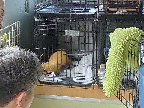 DSC_1693_copy_800x600