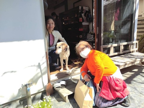 1710068547367_copy_800x600