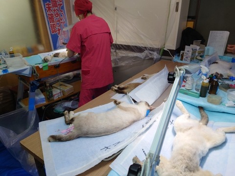 20220722_094055_copy_800x600