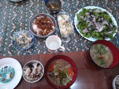 20251215_123330_copy_800x600