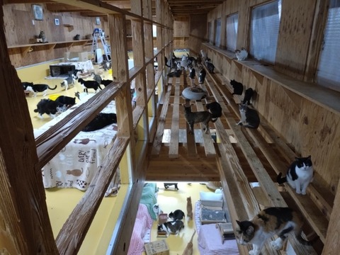 20260203_180424_copy_800x600