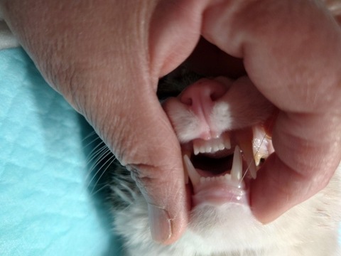 20230223_122004_copy_600x800