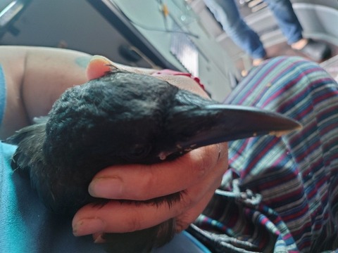 20230519_115643_copy_800x600