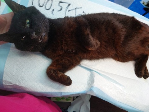 20230405_082533_copy_800x600