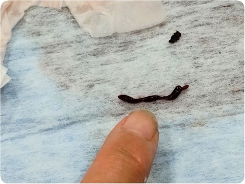 20250926_094501-EDIT