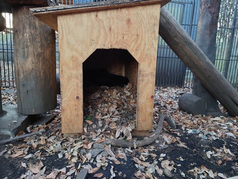 20231225_160753_copy_800x600