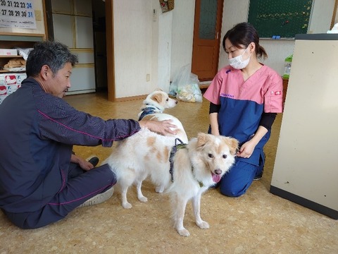 DSC_0855_copy_800x600