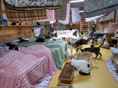 20260203_175901_copy_800x600