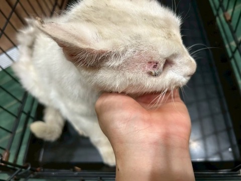 1765613772307_copy_738x554