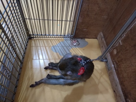 20260223_090606_copy_800x600