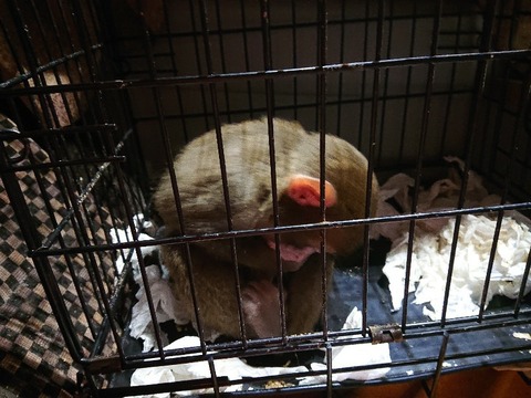 DSC_6877_copy_800x600