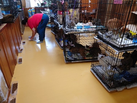 20230301_083546_copy_800x600