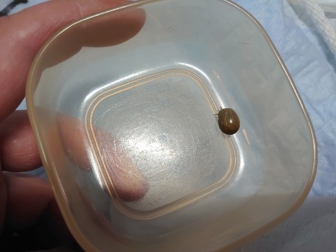 DSC_5670_copy_800x600