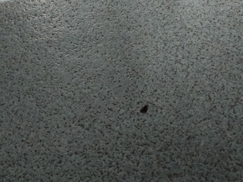 20241023_193711_copy_800x600