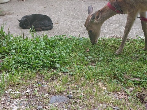 20230606_160119~2_copy_800x600