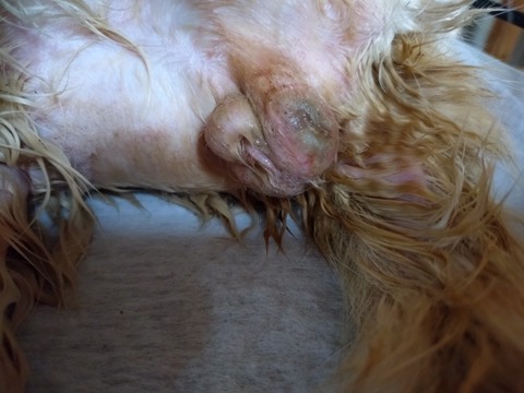 20250618_090946_copy_800x600