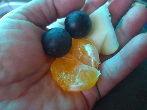 20251004_073427_copy_800x600