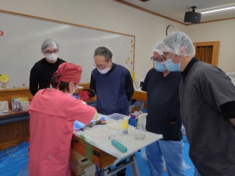 20251207_122550_copy_800x600