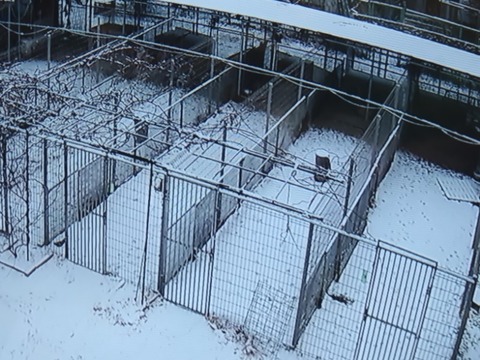 20260208_075616_copy_800x600