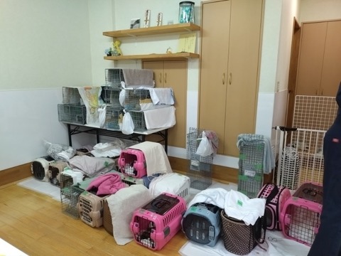 20251007_110038_copy_800x600