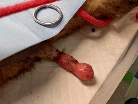 20251216_115801_copy_800x600