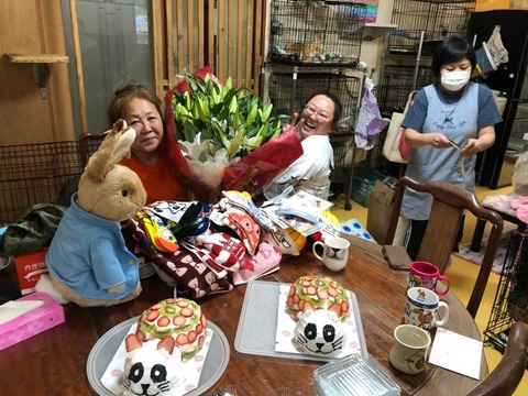 line_373408472646305_copy_800x600