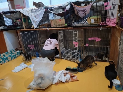 20260119_083410_copy_800x600