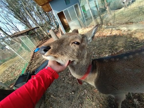 20251223_114926_copy_816x612