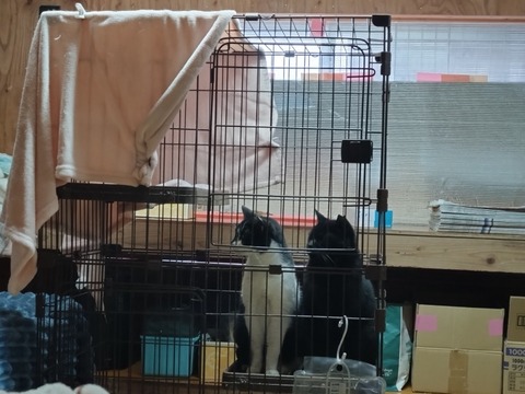 20260102_090700_copy_816x612