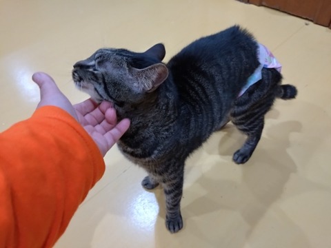 20251219_080908_copy_800x600