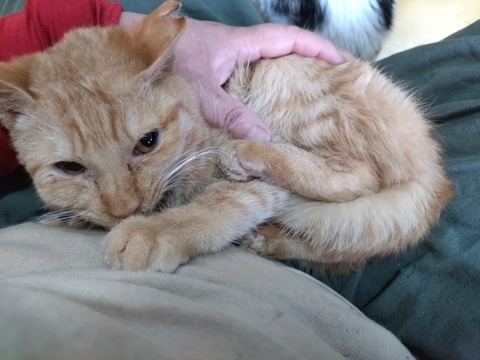 20260116_091038_copy_800x600_1