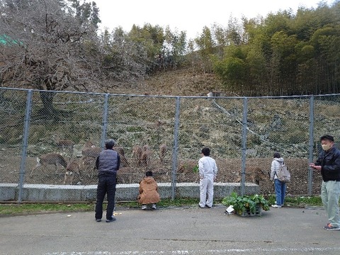 DSC_2842_copy_800x600