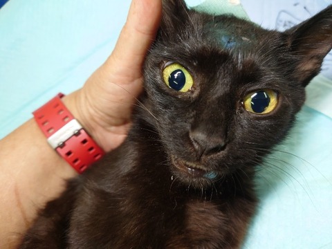 20220725_170804_copy_800x600_1