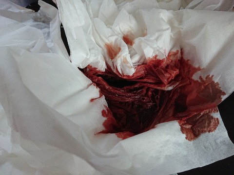 DSC_5427_copy_800x600