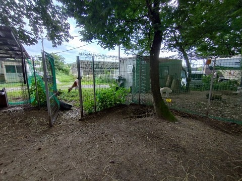 20240810_150510_copy_800x600