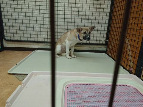 DSC_6239_copy_800x600