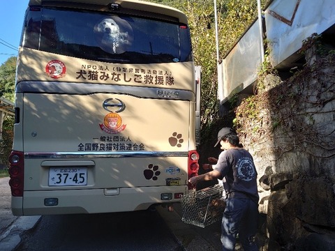 DSC_1656_copy_800x600