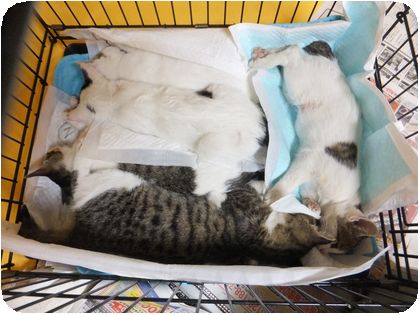 DSCF2360