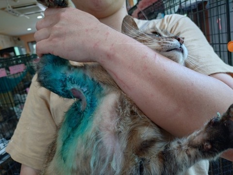 20250620_132343_copy_800x600