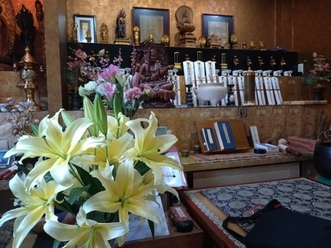 20260228_151755_copy_800x600