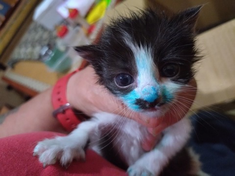 20251020_202643_copy_800x600